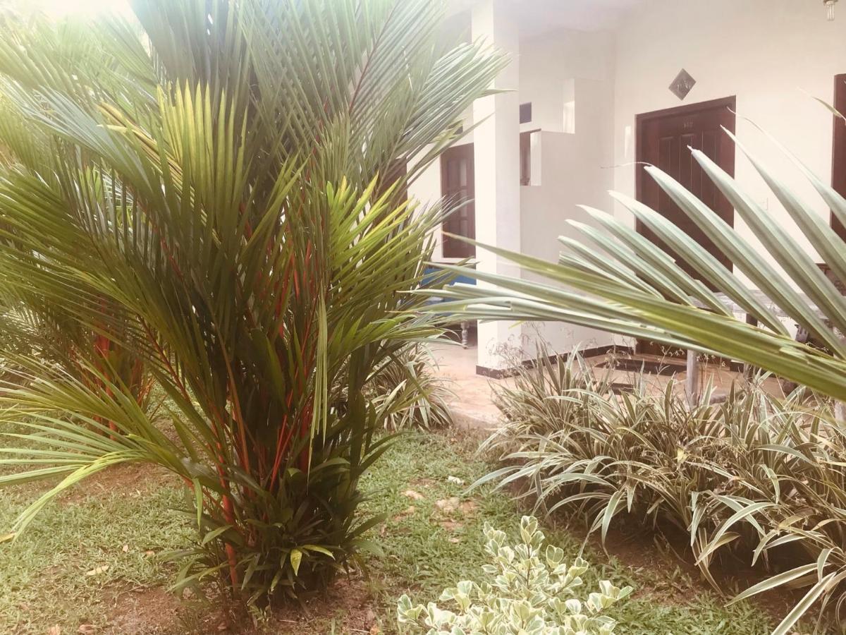 South Heaven Villa Hikkaduwa Exterior foto